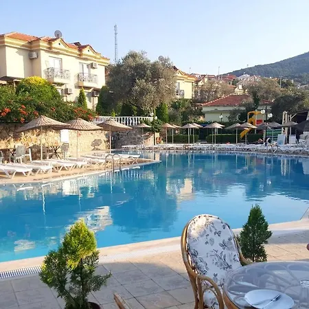 度假村 阿利兹度假酒店 3*