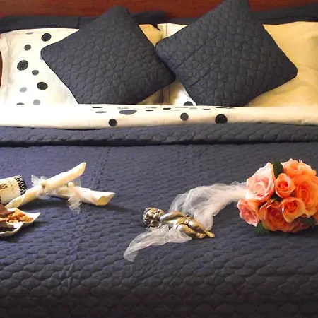 阿利兹度假酒店 度假村 3*