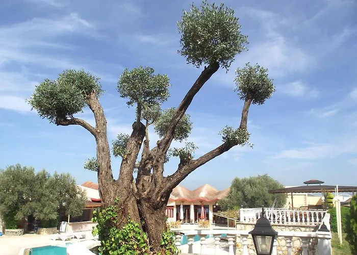 Alize Курортный комплекс 3*